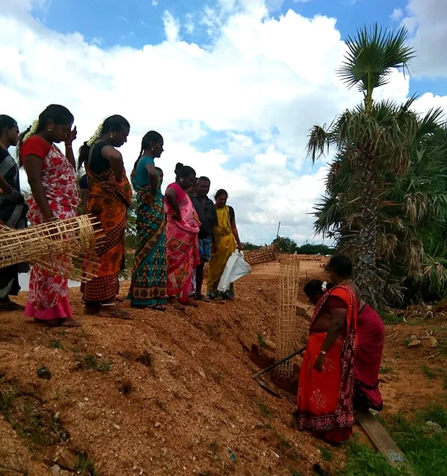 பனை விதைகளை நடவு செய்யும் திருநங்கைகள்