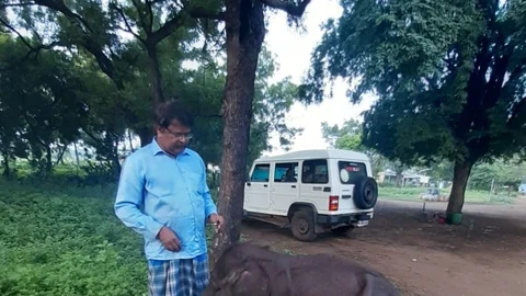 கால்நடை மருத்துவர் அசோகனுடன் குட்டி யானை