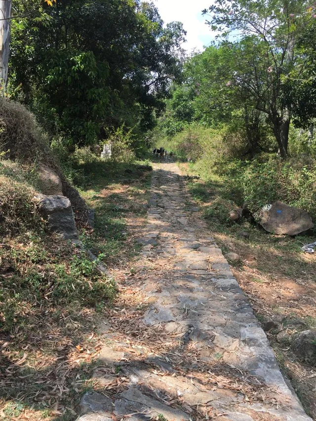 Kurangani to TopStation root