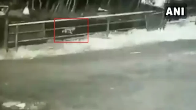 குழந்தை
