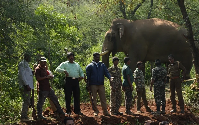 அசோகன்