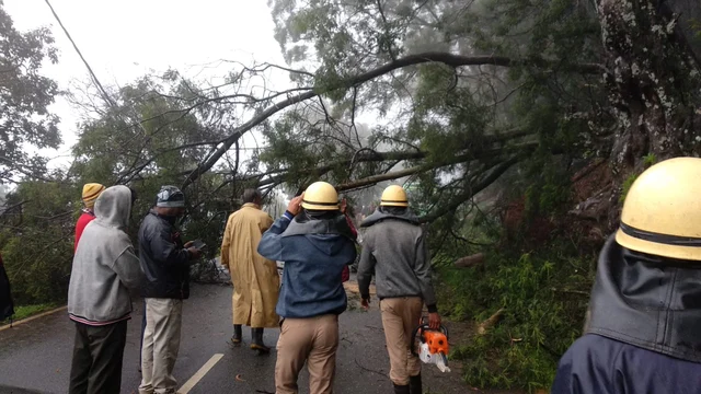 Nilgiri heavy rain
