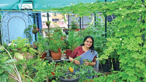 பசுமை சூழ்ந்த மாடித்தோட்டச் செடிகளுக்கு மத்தியில் நடிகை சீதா