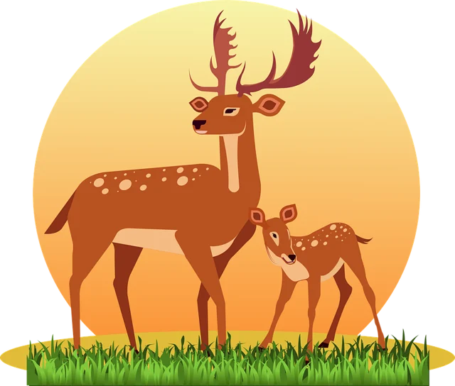 deer