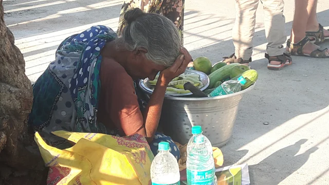 மாங்காய் விற்கும் பாட்டி