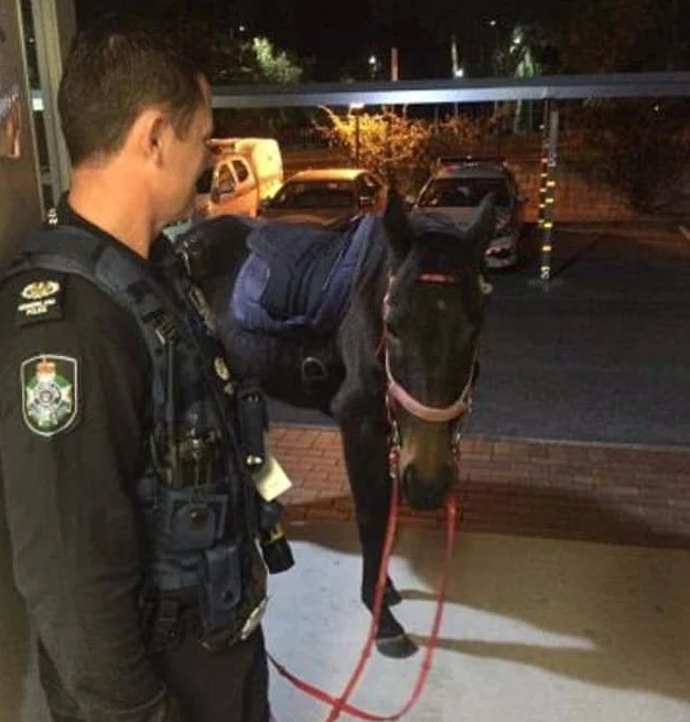 Australian police