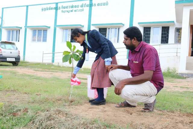 மரக்கன்றுக்கு தண்ணீர் ஊற்றும் மாணவி