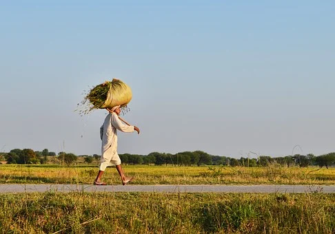 Representational Image