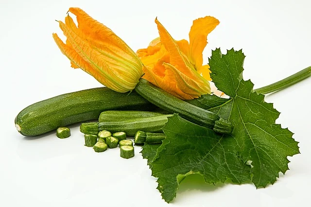 Cucumber