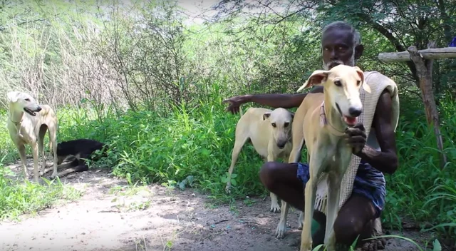 முனியாண்டி