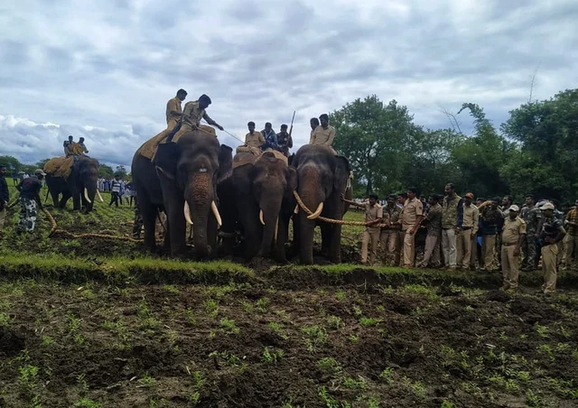 crowbar elephant
