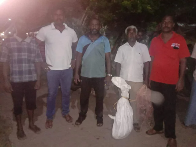 சிகிச்சைக்காக சாக்கு மூட்டையில் கட்டப்பட்ட குரங்கு
