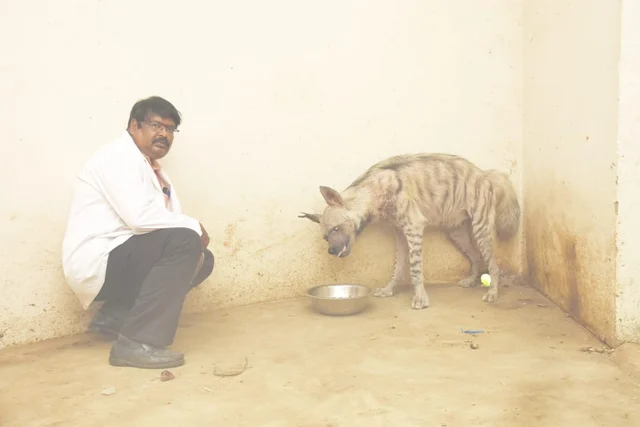 அசோகன்