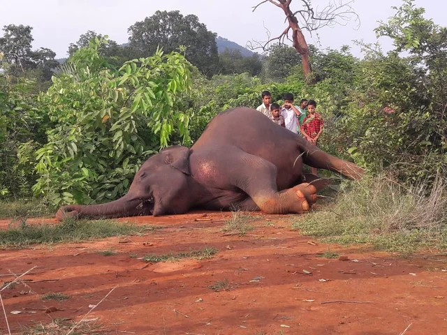 மரணம்