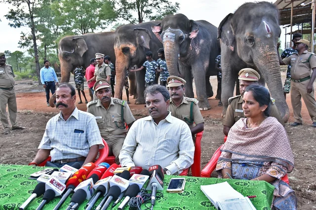 திருச்சி மண்டல முதன்மை வனப்பாதுகாவலர் திருநாவுக்கரசு