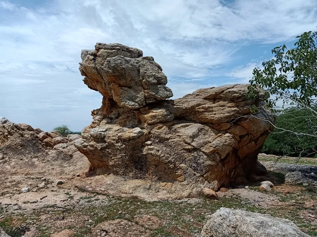விலங்குவடிவம் கொண்ட பாறை