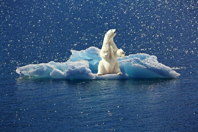 Ocean Warming