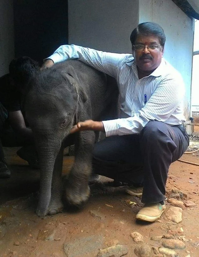 அசோகன்