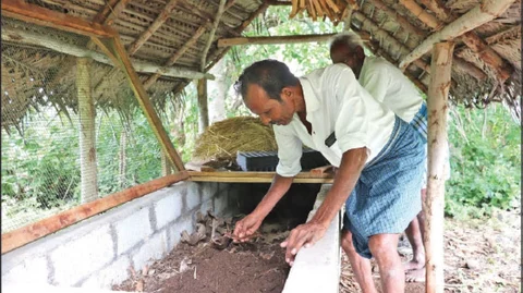 பாரம்பர்ய நெல்