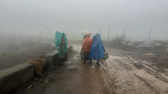 Nilgiri rain and mist