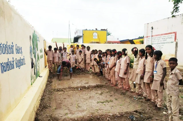 சம்பா நாற்று நடவு