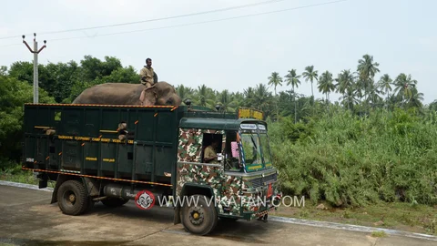 அரிசிராஜா