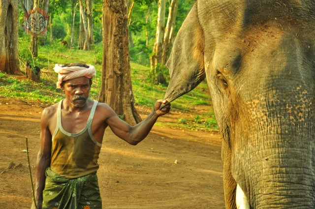 Kumki