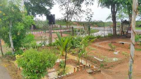 தொல்லியல் தோட்டம்