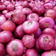 Onion
