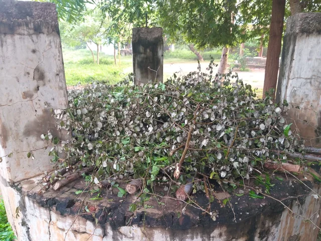 கிணறு