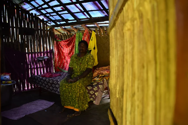 தார்பாலின் கூரை