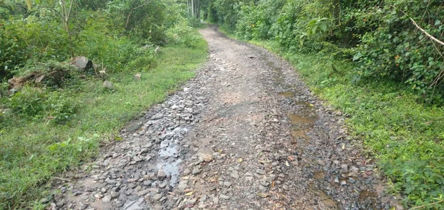 அகமலைச் சாலை