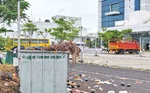 அதோகதியில் அண்ணா நூலகம்?