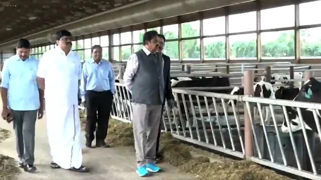 மாட்டுப் பண்ணையில் முதல்வர்