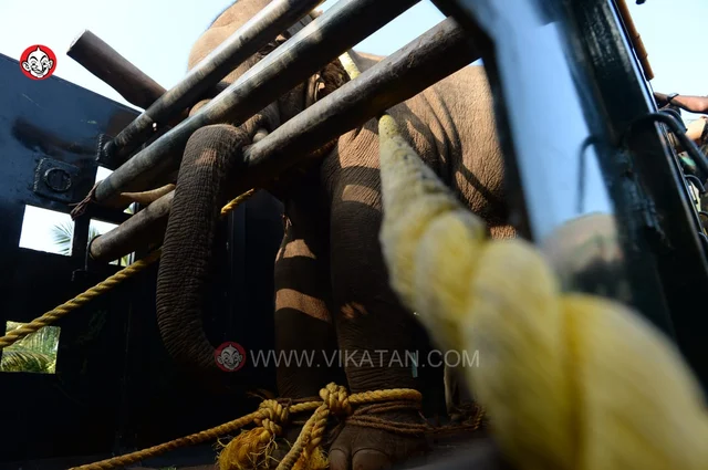 அரிசி ராஜா