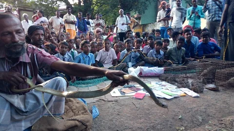 பாம்புடன் முற்றுகை