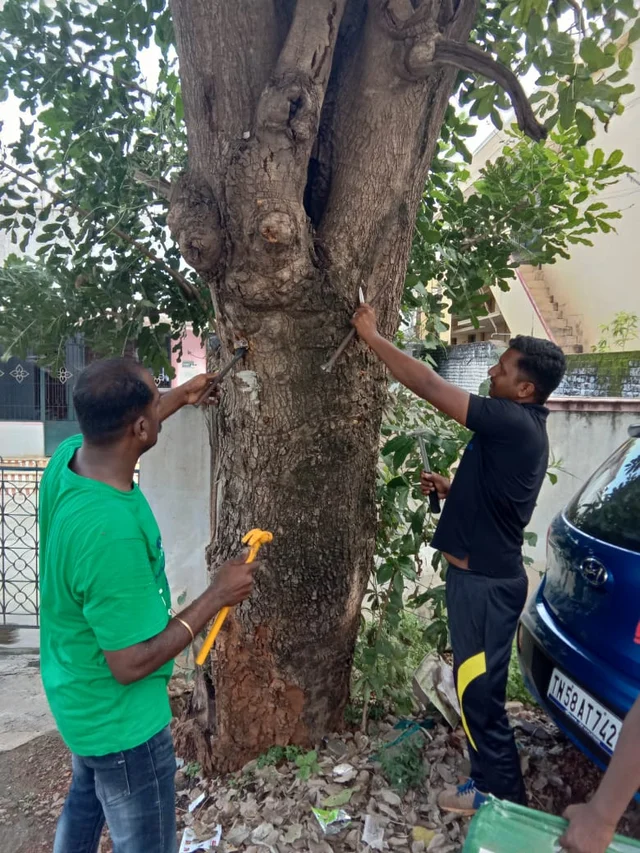 தன்னார்வலர்கள்