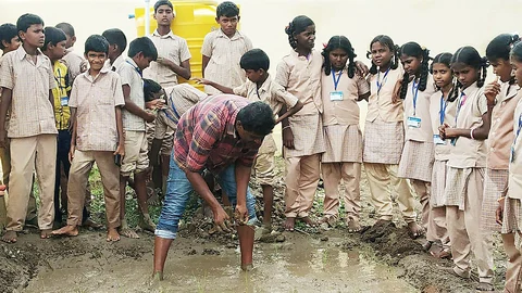 சம்பா நாற்று நடவு