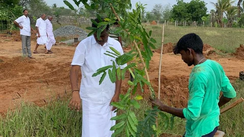 மரக்கன்று நடும் பணி