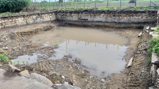 மழைநீர் தேங்கிய தெப்பக்குளம்