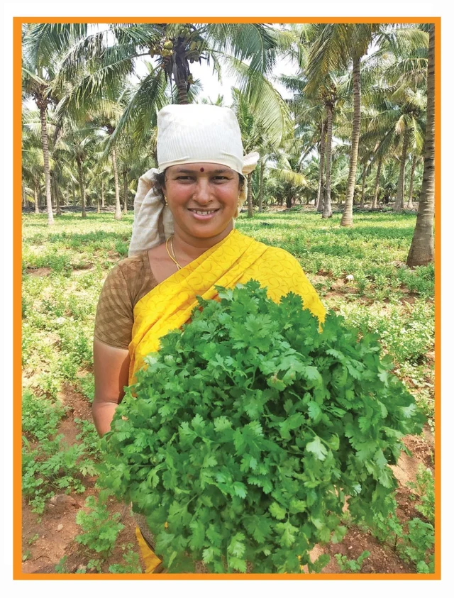 1 ஏக்கர்... 45 நாள்கள்... ரூ.1,20,000... - கவிதாவின் மல்லித்தழை மகசூல் உத்திகள்!