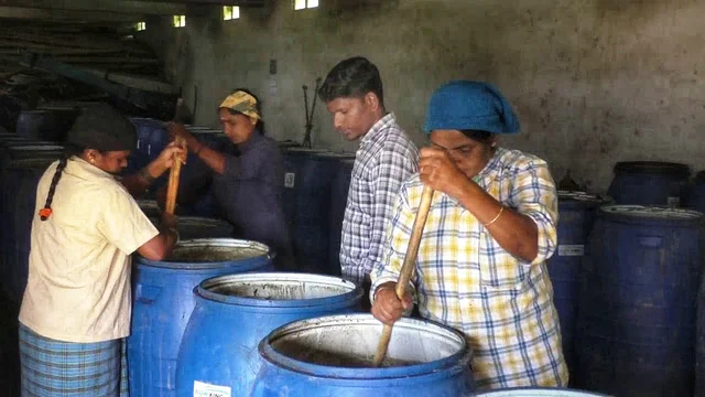 organic fertilizer