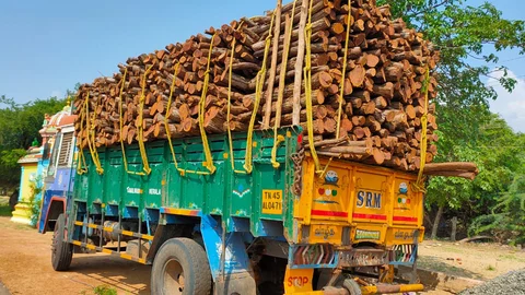 மரம் கடத்திய லாரி