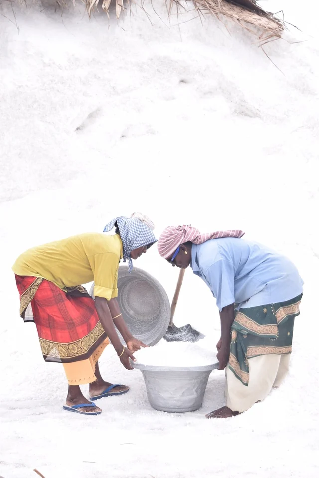 உப்பு அள்ளிச் செல்லும் பெண் தொழிலாளர்