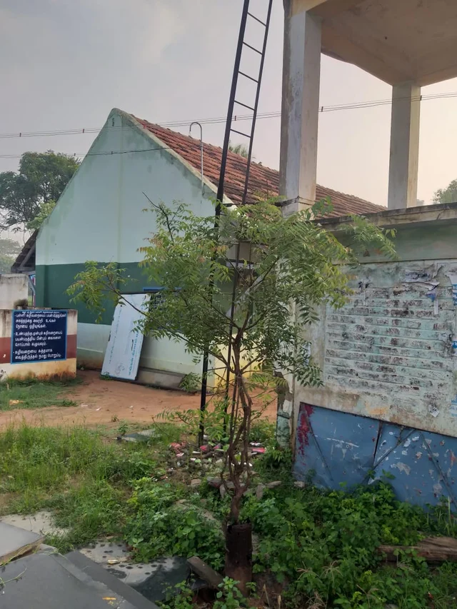 அரசுப்பள்ளி