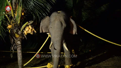 அரிசி ராஜா