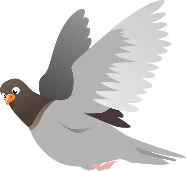 bird