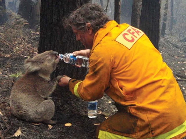 AUSTRALIA FIRE