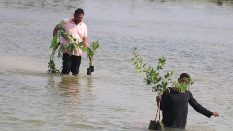 பேராவூரணி இளைஞர்கள்