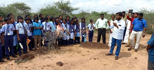 முதுமக்கள் தாழிகளை விளக்குதல்.